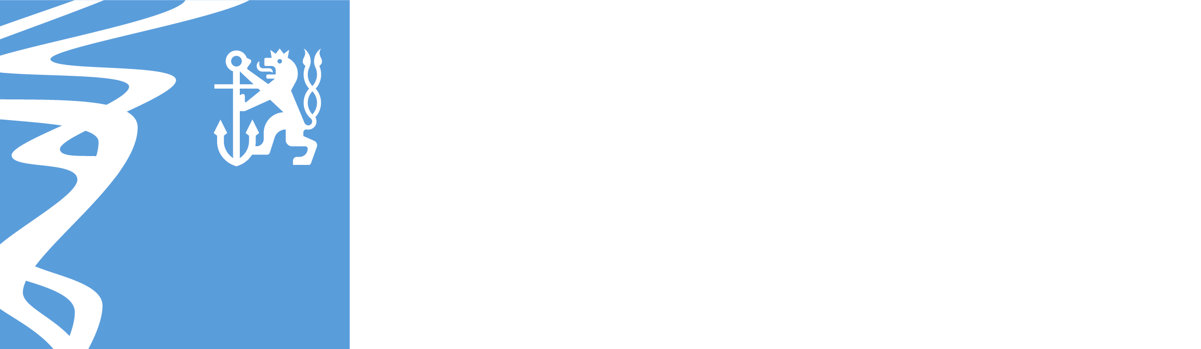 Logo der LHS Düsseldorf